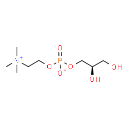 ChemSpider 2D Image | L-alpha-Glycerylphosphorylcholine | C8H20NO6P