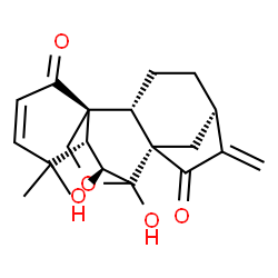 ChemSpider 2D Image | (5beta,6beta,7beta,8alpha,9beta,10alpha,13alpha)-6,7-Dihydroxy-7,20-epoxykaura-2,16-diene-1,15-dione | C20H24O5