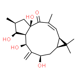 ChemSpider 2D Image | (1aR,2Z,4aR,6S,7S,7aR,8S,10R,11aS)-4a,7,8,10-Tetrahydroxy-1,1,3,6-tetramethyl-9-methylene-1,1a,4a,5,6,7,7a,8,9,10,11,11a-dodecahydro-4H-cyclopenta[a]cyclopropa[f][11]annulen-4-one | C20H30O5