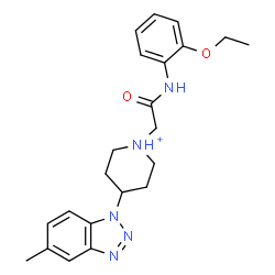 ChemSpider 2D Image | 1-{2-[(2-Ethoxyphenyl)amino]-2-oxoethyl}-4-(5-methyl-1H-benzotriazol-1-yl)piperidinium | C22H28N5O2
