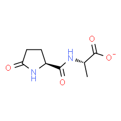 ChemSpider 2D Image | (2S)-2-[(5-Oxo-L-prolyl)amino]propanoate | C8H11N2O4