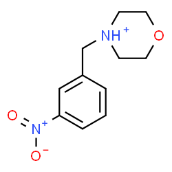 ChemSpider 2D Image | 4-(3-Nitrobenzyl)morpholin-4-ium | C11H15N2O3