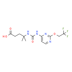 ChemSpider 2D Image | 4-Methyl-4-({[2-(2,2,2-trifluoroethoxy)-4-pyrimidinyl]carbamoyl}amino)pentanoic acid | C13H17F3N4O4