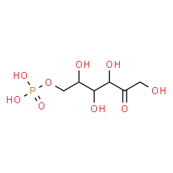 ChemSpider 2D Image | 6-O-Phosphonohex-2-ulose | C6H13O9P