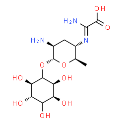 ChemSpider 2D Image | (2R,3S,5S,6S)-2,3,4,5,6-Pentahydroxycyclohexyl 2-amino-4-{(Z)-[amino(carboxy)methylene]amino}-2,3,4,6-tetradeoxy-alpha-D-arabino-hexopyranoside | C14H25N3O9