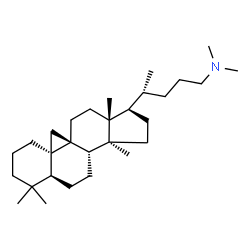 ChemSpider 2D Image | (5alpha,9beta)-N,N,4,4,14-Pentamethyl-9,19-cyclocholan-24-amine | C29H51N