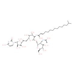 ChemSpider 2D Image | (1Z,2E)-N-[(2S,3R,4R,5R,6R)-2-{[(2R,3R,4R,5S,6R)-4,5-Dihydroxy-3-[(E)-(1-hydroxyethylidene)amino]-6-(hydroxymethyl)tetrahydro-2H-pyran-2-yl]oxy}-6-{2-[(2R,3S,4R,5R)-3,4-dihydroxy-5-(4-hydroxy-2-oxo-1(
2H)-pyrimidinyl)tetrahydro-2-furanyl]-2-hydroxyethyl}-4,5-dihydroxytetrahydro-2H-pyran-3-yl]-14-methyl-2-pentadecenimidic acid (non-preferred name) | C39H64N4O16