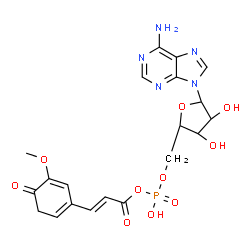 ChemSpider 2D Image | 5'-O-[(R)-Hydroxy{[(2E)-3-(5-methoxy-4-oxo-1,5-cyclohexadien-1-yl)-2-propenoyl]oxy}phosphoryl]adenosine | C20H22N5O10P