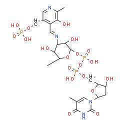 ChemSpider 2D Image | (2R,3R,4S,5R,6R)-3,5-Dihydroxy-4-[(E)-({3-hydroxy-2-methyl-5-[(phosphonooxy)methyl]-4-pyridinyl}methylene)amino]-6-methyltetrahydro-2H-pyran-2-yl [(2R,3S,5R)-3-hydroxy-5-(5-methyl-2,4-dioxo-3,4-dihydr
o-1(2H)-pyrimidinyl)tetrahydro-2-furanyl]methyl dihydrogen diphosphate (non-preferred name) | C24H35N4O19P3