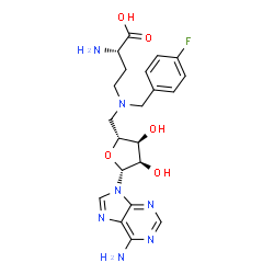 ChemSpider 2D Image | 5'-{[(3S)-3-Amino-3-carboxypropyl](4-fluorobenzyl)amino}-5'-deoxyadenosine | C21H26FN7O5