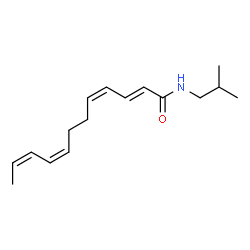 ChemSpider 2D Image | (2E,4Z,8Z,10Z)-N-Isobutyl-2,4,8,10-dodecatetraenamide | C16H25NO