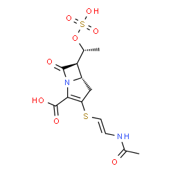 ChemSpider 2D Image | (5S,6R)-3-{[(E)-2-Acetamidovinyl]sulfanyl}-7-oxo-6-[(1R)-1-(sulfooxy)ethyl]-1-azabicyclo[3.2.0]hept-2-ene-2-carboxylic acid | C13H16N2O8S2