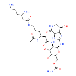 ChemSpider 2D Image | 2-{[(3S)-3-Acetamido-6-{[(3S)-3,6-diaminohexanoyl]amino}hexanoyl]amino}-6-O-carbamoyl-2-deoxy-N-[(3aR,7R,7aS)-7-hydroxy-4-oxo-3a,4,5,6,7,7a-hexahydro-1H-imidazo[4,5-c]pyridin-2-yl]-alpha-D-galactopyra
nosylamine | C27H48N10O10