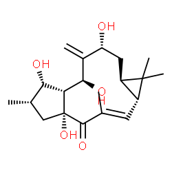 ChemSpider 2D Image | (1aR,2E,4aR,6S,7aR,8S,10R,11aR)-4a,7,8,10-Tetrahydroxy-1,1,3,6-tetramethyl-9-methylene-1,1a,4a,5,6,7,7a,8,9,10,11,11a-dodecahydro-4H-cyclopenta[a]cyclopropa[f][11]annulen-4-one | C20H30O5