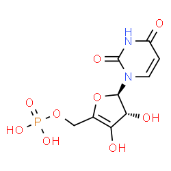 ChemSpider 2D Image | [(4R,5R)-5-(2,4-Dioxo-3,4-dihydro-1(2H)-pyrimidinyl)-3,4-dihydroxy-4,5-dihydro-2-furanyl]methyl dihydrogen phosphate | C9H11N2O9P