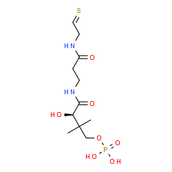 ChemSpider 2D Image | N~3~-[(2R)-2-Hydroxy-3,3-dimethyl-4-(phosphonooxy)butanoyl]-N-(2-thioxoethyl)-beta-alaninamide | C11H21N2O7PS