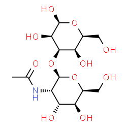 ChemSpider 2D Image | 3-O-(2-Acetamido-2-deoxy-beta-L-gulopyranosyl)-beta-L-talopyranose | C14H25NO11