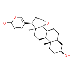 ChemSpider 2D Image | (3beta,5alpha,13alpha,14alpha,15alpha)-3-Hydroxy-14,15-epoxybufa-20,22-dienolide | C24H32O4
