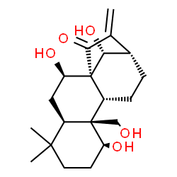 ChemSpider 2D Image | (1beta,7beta,8alpha,9beta,10alpha,13alpha,14R)-1,7,14,20-Tetrahydroxykaur-16-en-15-one | C20H30O5