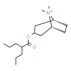 ChemSpider 2D Image | (1R,5R)-8,8-Dimethyl-3-[(2-propylpentanoyl)oxy]-8-azoniabicyclo[3.2.1]octane | C17H32NO2