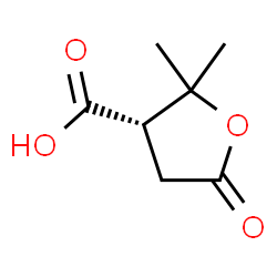 ChemSpider 2D Image | (S)-terebic acid | C7H10O4