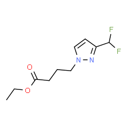 ChemSpider 2D Image | ethyl 4-[3-(difluoromethyl)pyrazol-1-yl]butanoate | C10H14F2N2O2
