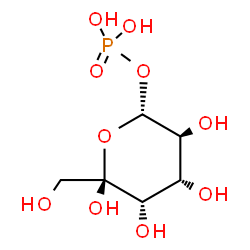 ChemSpider 2D Image | (2R,3S,4S,5S,6S)-3,4,5,6-Tetrahydroxy-6-(hydroxymethyl)tetrahydro-2H-pyran-2-yl dihydrogen phosphate (non-preferred name) | C6H13O10P