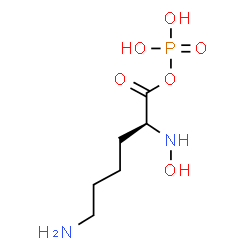 ChemSpider 2D Image | (2S)-6-Amino-2-(hydroxyamino)hexanoyl dihydrogen phosphate | C6H15N2O6P