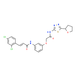 ChemSpider 2D Image | (2E)-3-(2,4-Dichlorophenyl)-N-[3-(2-oxo-2-{[5-(tetrahydro-2-furanyl)-1,3,4-thiadiazol-2-yl]amino}ethoxy)phenyl]acrylamide | C23H20Cl2N4O4S