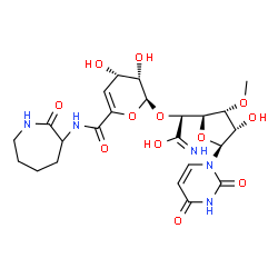 ChemSpider 2D Image | (2S)-2-({(2S,3S,4S)-3,4-Dihydroxy-6-[(2-oxo-3-azepanyl)carbamoyl]-3,4-dihydro-2H-pyran-2-yl}oxy)-2-[(2R,3R,4S,5S)-5-(2,4-dioxo-3,4-dihydro-1(2H)-pyrimidinyl)-4-hydroxy-3-methoxytetrahydro-2-furanyl]et
hanimidic acid (non-preferred name) | C23H31N5O12