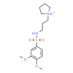 ChemSpider 2D Image | 1-(3-{[(3,4-Dimethoxyphenyl)sulfonyl]amino}propyl)pyrrolidinium | C15H25N2O4S