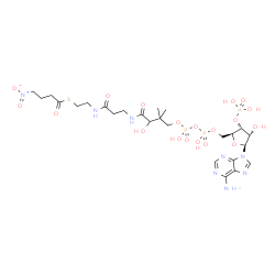ChemSpider 2D Image | S-{1-[(2S,3R,4S,5S)-5-(6-Amino-9H-purin-9-yl)-4-hydroxy-3-(phosphonooxy)tetrahydro-2-furanyl]-3,5,9-trihydroxy-8,8-dimethyl-3,5-dioxido-10,14-dioxo-2,4,6-trioxa-11,15-diaza-3lambda~5~,5lambda~5~-dipho
sphaheptadecan-17-yl} 4-nitrobutanethioate (non-preferred name) | C25H41N8O19P3S