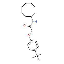 ChemSpider 2D Image | N-Cyclooctyl-2-[4-(2-methyl-2-propanyl)phenoxy]acetamide | C20H31NO2