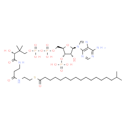 ChemSpider 2D Image | S-{(9R)-1-[(2R,3S,4R,5R)-5-(6-Amino-9H-purin-9-yl)-4-hydroxy-3-(phosphonooxy)tetrahydro-2-furanyl]-3,5,9-trihydroxy-8,8-dimethyl-3,5-dioxido-10,14-dioxo-2,4,6-trioxa-11,15-diaza-3lambda~5~,5lambda~5~-
diphosphaheptadecan-17-yl} 16-methylheptadecanethioate (non-preferred name) | C39H70N7O17P3S