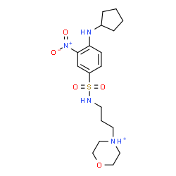 ChemSpider 2D Image | 4-[3-({[4-(Cyclopentylamino)-3-nitrophenyl]sulfonyl}amino)propyl]morpholin-4-ium | C18H29N4O5S