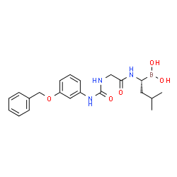 ChemSpider 2D Image | N~2~-{[3-(Benzyloxy)phenyl]carbamoyl}-N-[(1R)-1-(dihydroxyboryl)-3-methylbutyl]glycinamide | C21H28BN3O5