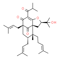 ChemSpider 2D Image | (1S,3R,8S,10R,11R)-3-(2-Hydroxy-2-propanyl)-6-isobutyryl-11-methyl-8,10-bis(3-methyl-2-buten-1-yl)-11-(4-methyl-3-penten-1-yl)-4-oxatricyclo[6.3.1.0~1,5~]dodec-5-ene-7,12-dione | C35H52O5