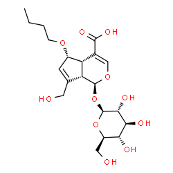 ChemSpider 2D Image | (1S,4aS,5S,7aS)-5-Butoxy-1-(beta-D-glucopyranosyloxy)-7-(hydroxymethyl)-1,4a,5,7a-tetrahydrocyclopenta[c]pyran-4-carboxylic acid | C20H30O11