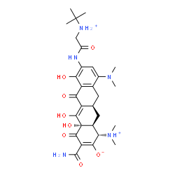 ChemSpider 2D Image | (1S,4aS,11aR,12aS)-3-Carbamoyl-10-(dimethylamino)-1-(dimethylammonio)-4a,5,7-trihydroxy-8-({[(2-methyl-2-propanyl)ammonio]acetyl}amino)-4,6-dioxo-1,4,4a,6,11,11a,12,12a-octahydro-2-tetracenolate | C29H40N5O8