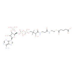 ChemSpider 2D Image | (9R)-1-[(2R,3S,4R,5R)-5-(6-Amino-9H-purin-9-yl)-4-hydroxy-3-(phosphonooxy)tetrahydro-2-furanyl]-3,5,9-trihydroxy-8,8-dimethyl-10,14,19-trioxo-2,4,6-trioxa-18-thia-11,15-diaza-3,5-diphosphatricosan-23-
oate 3,5-dioxide | C26H41N7O19P3S