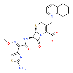 ChemSpider 2D Image | (6R,7R)-7-{[(2E)-2-(2-Amino-1,3-thiazol-4-yl)-2-(methoxyimino)acetyl]amino}-8-oxo-3-(5,6,7,8-tetrahydro-1-quinoliniumylmethyl)-5-thia-1-azabicyclo[4.2.0]oct-2-ene-2-carboxylate | C23H24N6O5S2