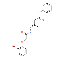 ChemSpider 2D Image | (3E)-3-{[(2-Bromo-4-methylphenoxy)acetyl]hydrazono}-N-phenylbutanamide | C19H20BrN3O3