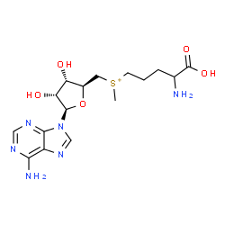ChemSpider 2D Image | (4-Amino-4-carboxybutyl){[(2S,3S,4R,5R)-5-(6-amino-9H-purin-9-yl)-3,4-dihydroxytetrahydro-2-furanyl]methyl}methylsulfonium | C16H25N6O5S