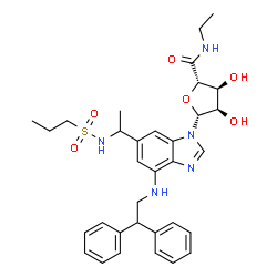 ChemSpider 2D Image | (2S,3S,4R,5R)-5-(4-[(2,2-Diphenylethyl)amino]-6-{1-[(propylsulfonyl)amino]ethyl}-1H-benzimidazol-1-yl)-N-ethyl-3,4-dihydroxytetrahydro-2-furancarboxamide | C33H41N5O6S