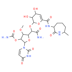 ChemSpider 2D Image | 5-[2-Amino-1-({3,4-dihydroxy-6-[(7-methyl-2-oxo-3-azepanyl)carbamoyl]-3,4-dihydro-2H-pyran-2-yl}oxy)-2-oxoethyl]-2-(2,4-dioxo-3,4-dihydro-1(2H)-pyrimidinyl)-4-methoxytetrahydro-3-furanyl carbamate (no
n-preferred name) | C25H34N6O13