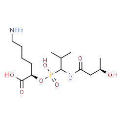 ChemSpider 2D Image | (2R)-6-Amino-2-{[hydroxy(1-{[(3R)-3-hydroxybutanoyl]amino}-2-methylpropyl)phosphoryl]oxy}hexanoic acid | C14H29N2O7P