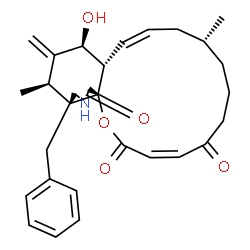 ChemSpider 2D Image | (3Z,9R,11Z,12aS,13S,15R,15aR,16R,18aR)-16-Benzyl-13-hydroxy-9,15-dimethyl-14-methylene-6,7,8,9,10,12a,13,14,15,15a,16,17-dodecahydro-2H-oxacyclotetradecino[2,3-d]isoindole-2,5,18-trione | C29H35NO5