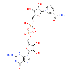 ChemSpider 2D Image | [(2R,3S,4R,5R)-5-(2-amino-6-oxo-3H-purin-9-yl)-3,4-dihydroxy-tetrahydrofuran-2-yl]methyl [[(2S,3R,4S,5S)-5-(3-carbamoylpyridin-1-ium-1-yl)-3,4-dihydroxy-tetrahydrofuran-2-yl]methoxy-hydroxy-phosphoryl] hydrogen phosphate | C21H28N7O15P2