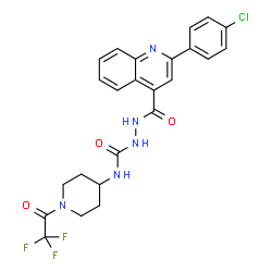 ChemSpider 2D Image | 2-{[2-(4-Chlorophenyl)-4-quinolinyl]carbonyl}-N-[1-(trifluoroacetyl)-4-piperidinyl]hydrazinecarboxamide | C24H21ClF3N5O3
