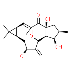 ChemSpider 2D Image | (1aS,2E,4aS,6R,7R,7aS,8R,10S,11aR)-4a,7,8,10-Tetrahydroxy-1,1,3,6-tetramethyl-9-methylene-1,1a,4a,5,6,7,7a,8,9,10,11,11a-dodecahydro-4H-cyclopenta[a]cyclopropa[f][11]annulen-4-one | C20H30O5